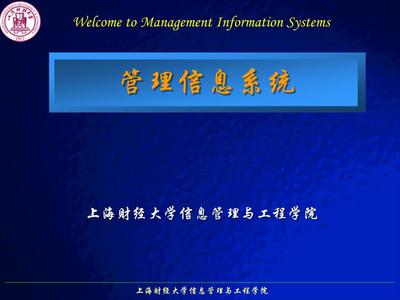 第10章信息系統(tǒng)的開發(fā)與實施幻燈片.ppt